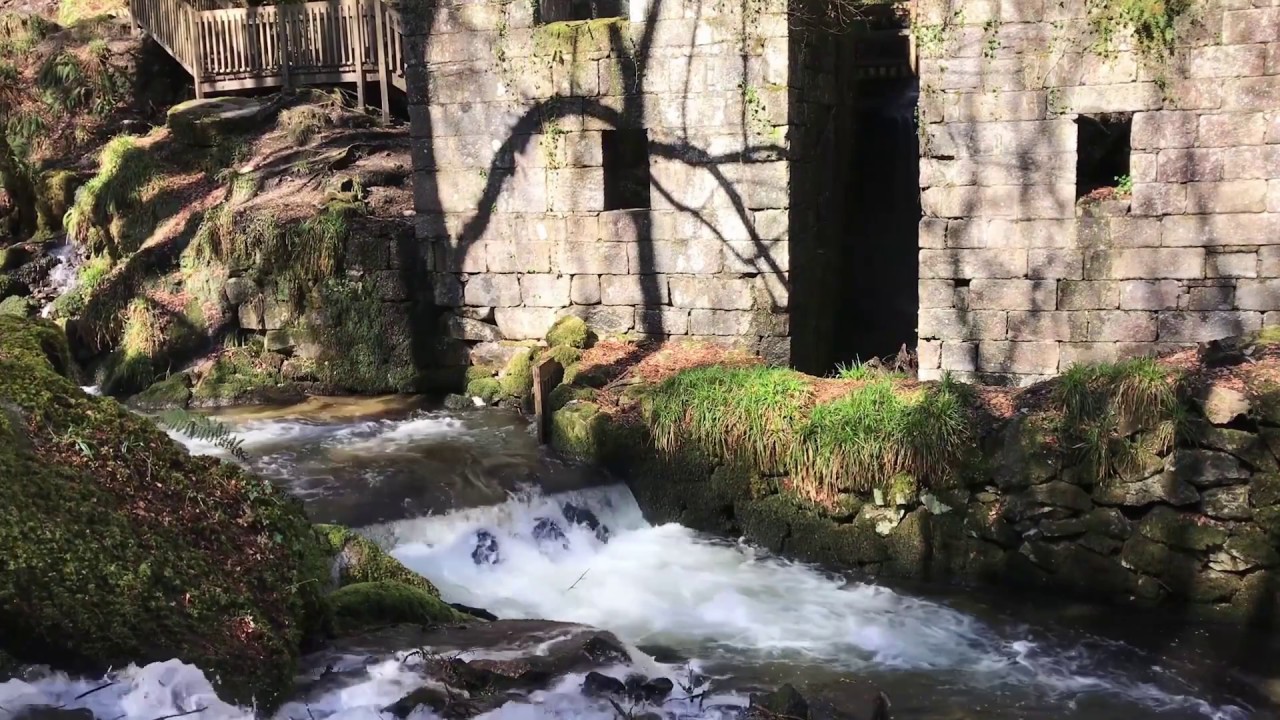 Kennall Vale Nature Reserve | Ponsanooth | Running Water (II)
