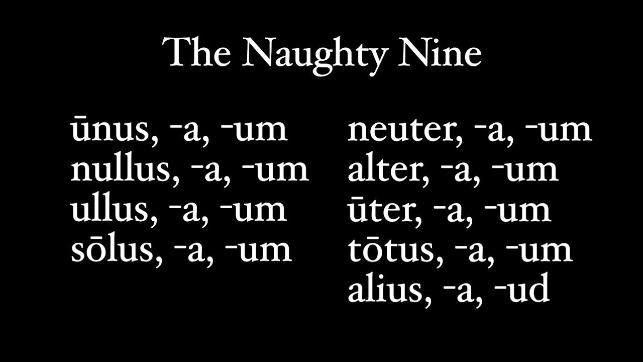 Непослушная девятка, UNUS NAUTA, или местоименные прилагательные