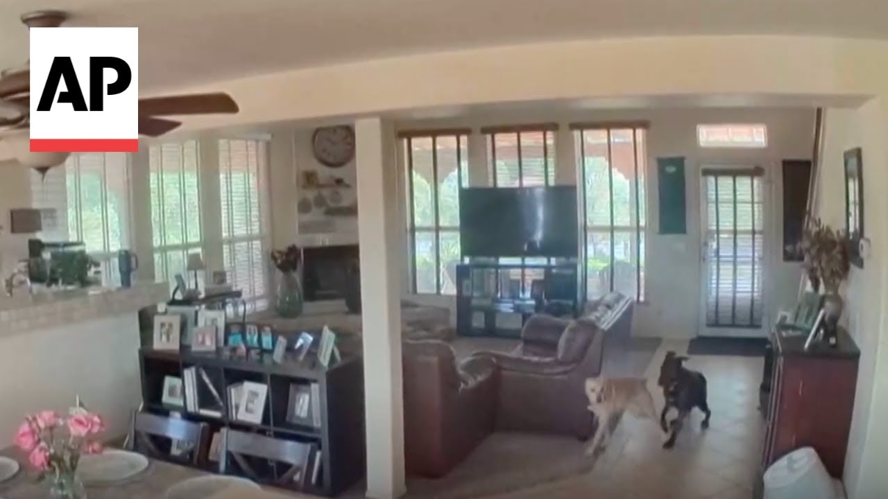 Home video captures pets reacting to California earthquake