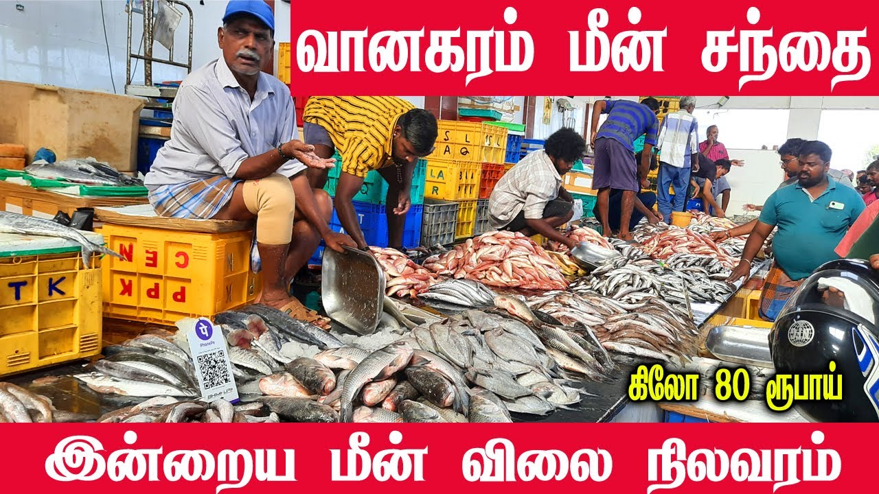 💥31.01.2026 Vanagaram Fish Market| வானகரம் மீன் மார்க்கெட்#wholesalefishmarket#kasimedu #vanagaram