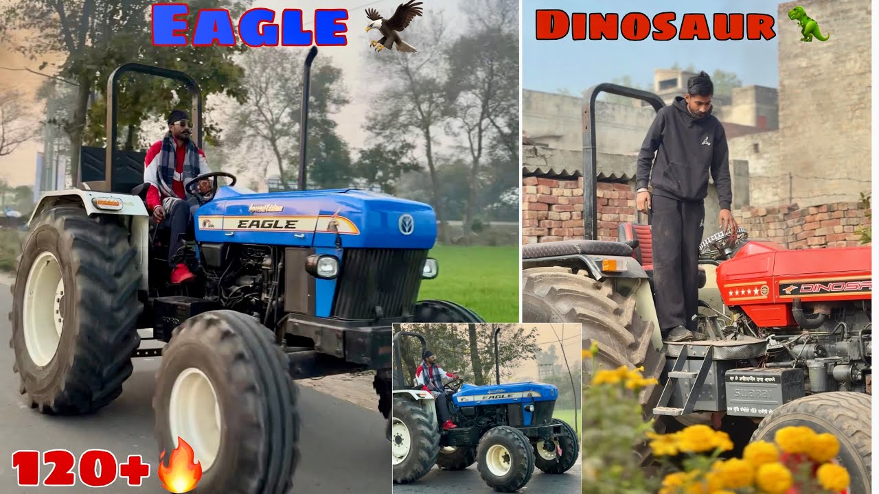 Dinosaur La Iea Ghar 🦖🔥| T-Rex5911 Show Nu Paint Karta 🔥| Lucky Goldsmith
