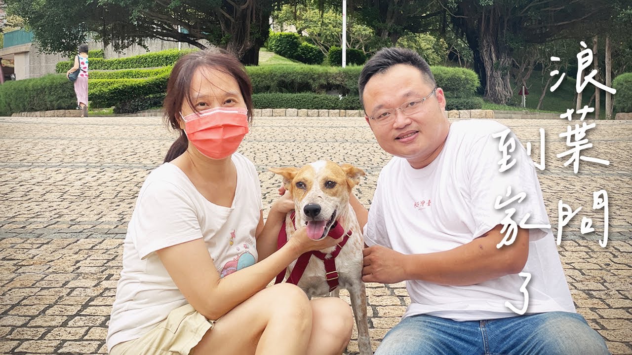 重病的狗兒在生命最後一段被幸福團團包圍了！