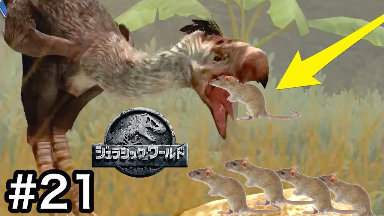 最強の鳥『フォラスラコス』にネズミあげてみたら恐ろしい食べ方してた...！#21【 Jurassic World: The Game 】実況