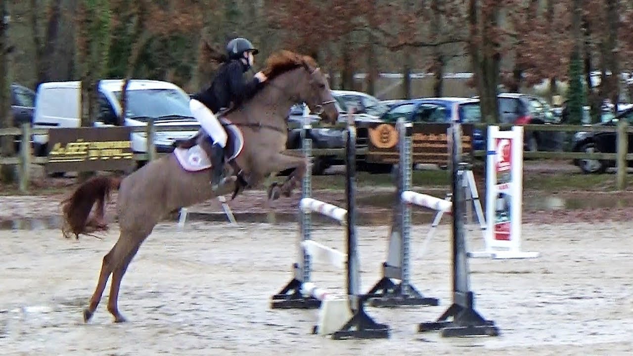 ■ 09/12/2018 - Boulerie Jump Le Mans - AS Poney 2D Grand Prix - Nieland's Joris - CSO - Clara Maitre