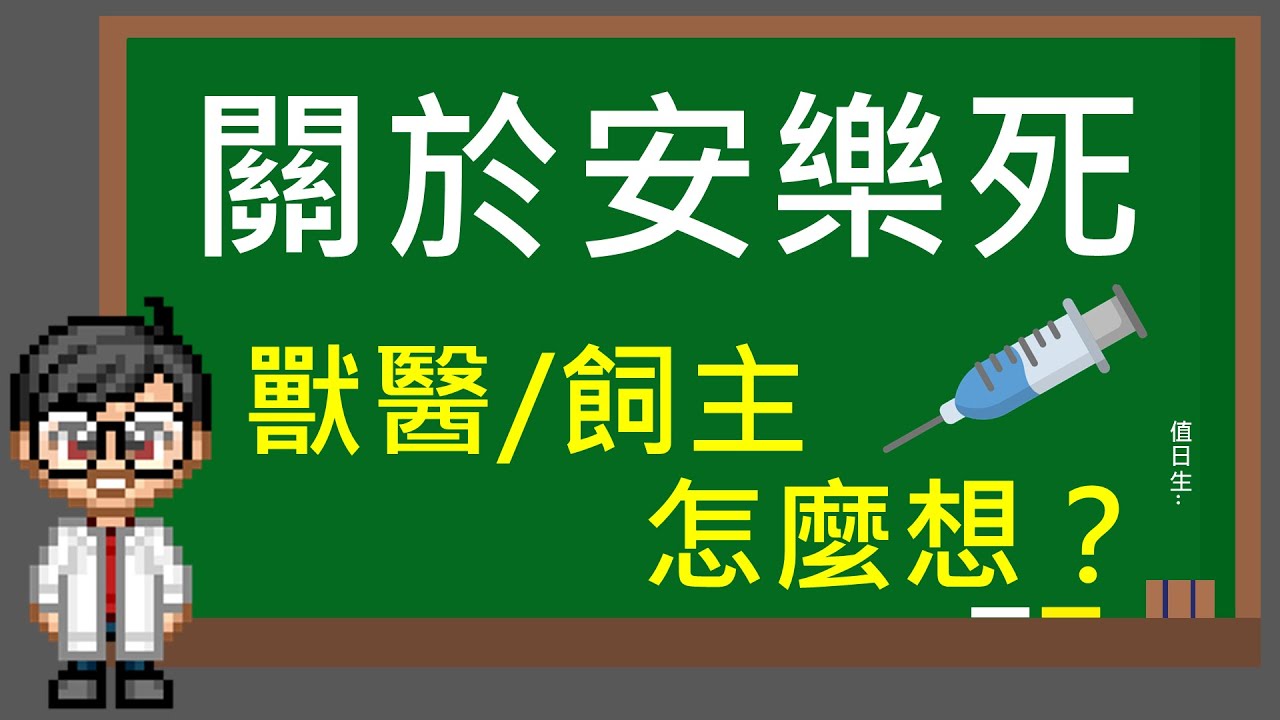關於安樂死 💉 獸醫/飼主怎麼想？｜Just Vet