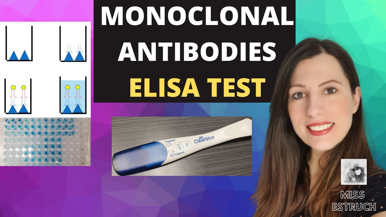 MONOCLONAL ANTIBODIES : The ELISA test. Medical treatment, diagnosis and ethics for A-level Biology