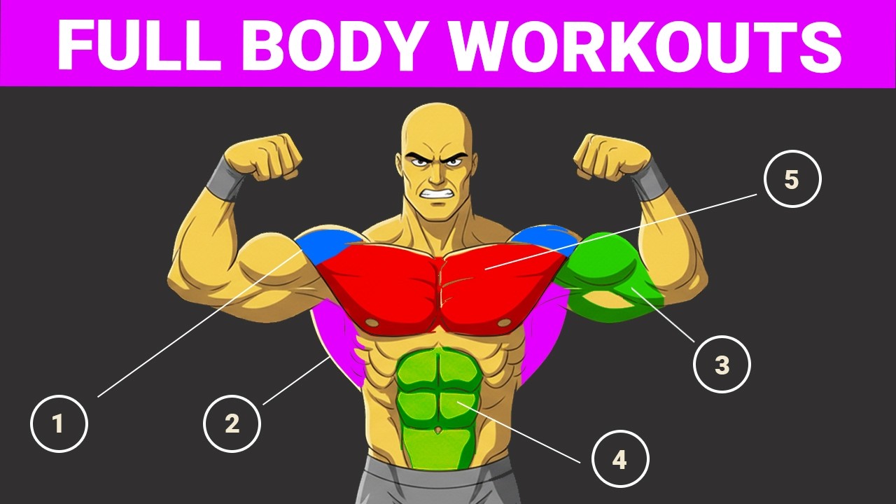 The #1 Full Body Routine to Build Muscle & Lose Fat