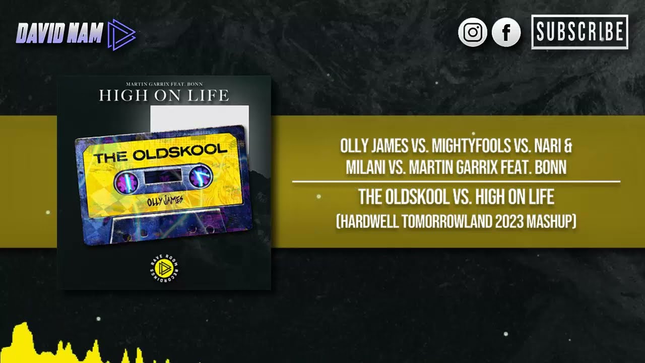 The Oldskool vs. High On Life (Hardwell Tomorrowland 2023 Mashup) [David Nam Remake]