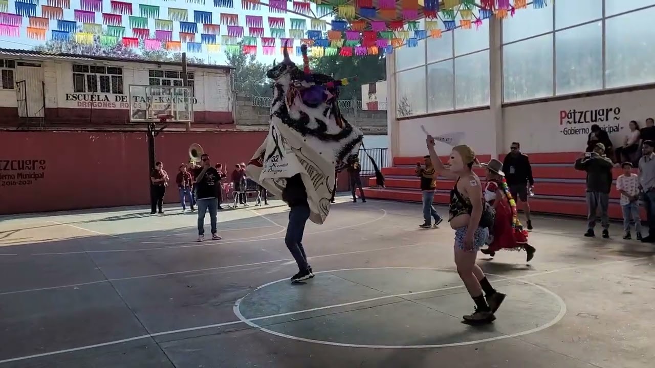 Toro de carnaval Col. Ibarra Pátzcuaro 2025