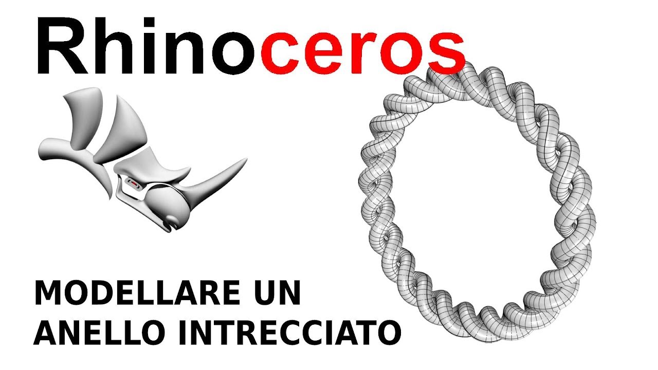 RHINOCEROS 3D -  Anello intrecciato (italiano)