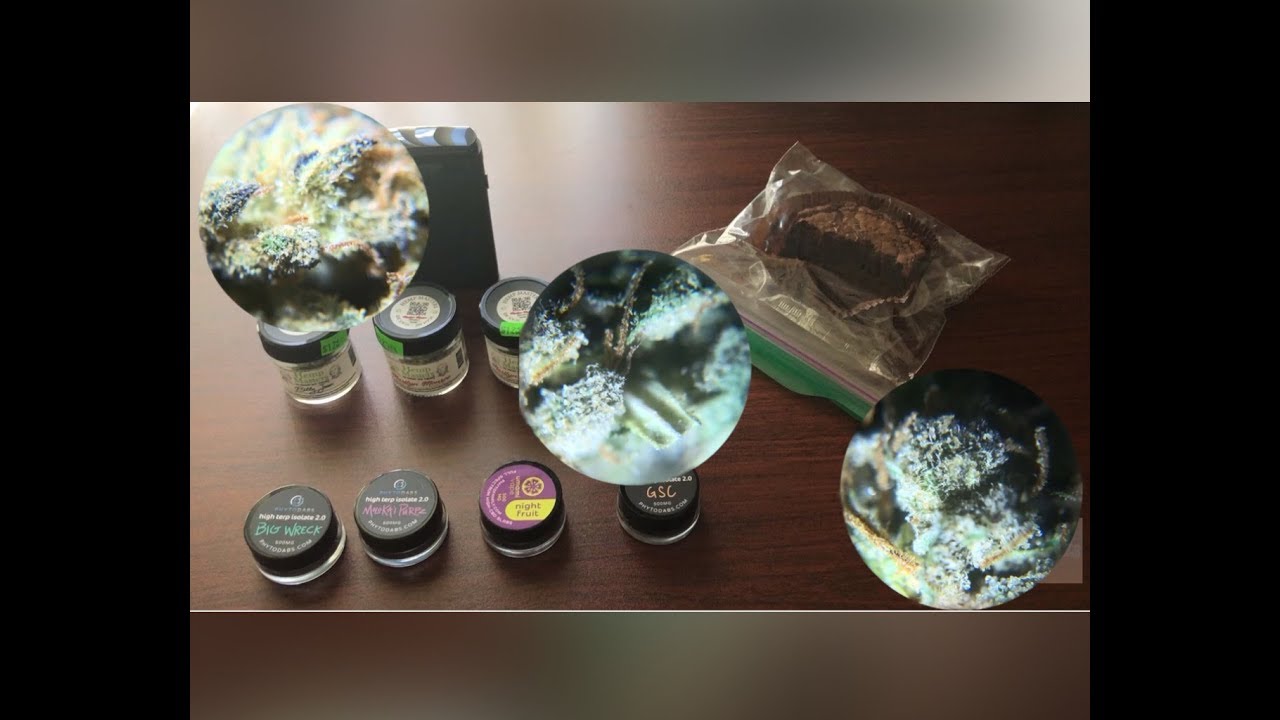 420 HAUL: Hemp Masters, Phyto Family PhytoDabs, and Kana Brownzzz First Impressions