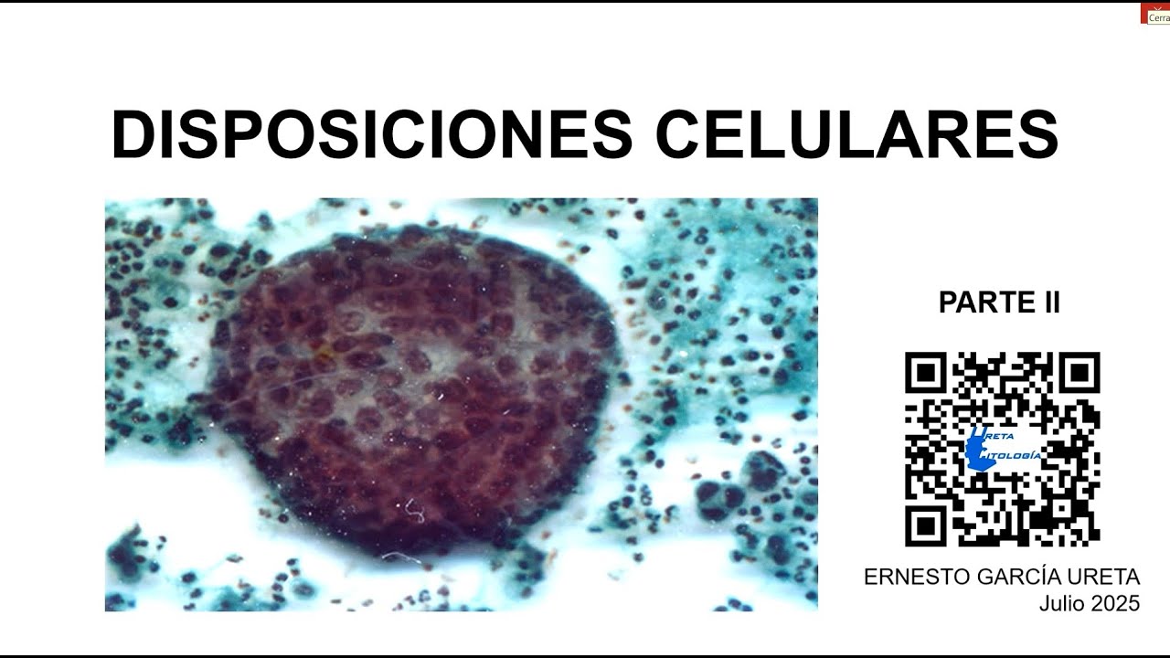 Disposiciones celulares parte II