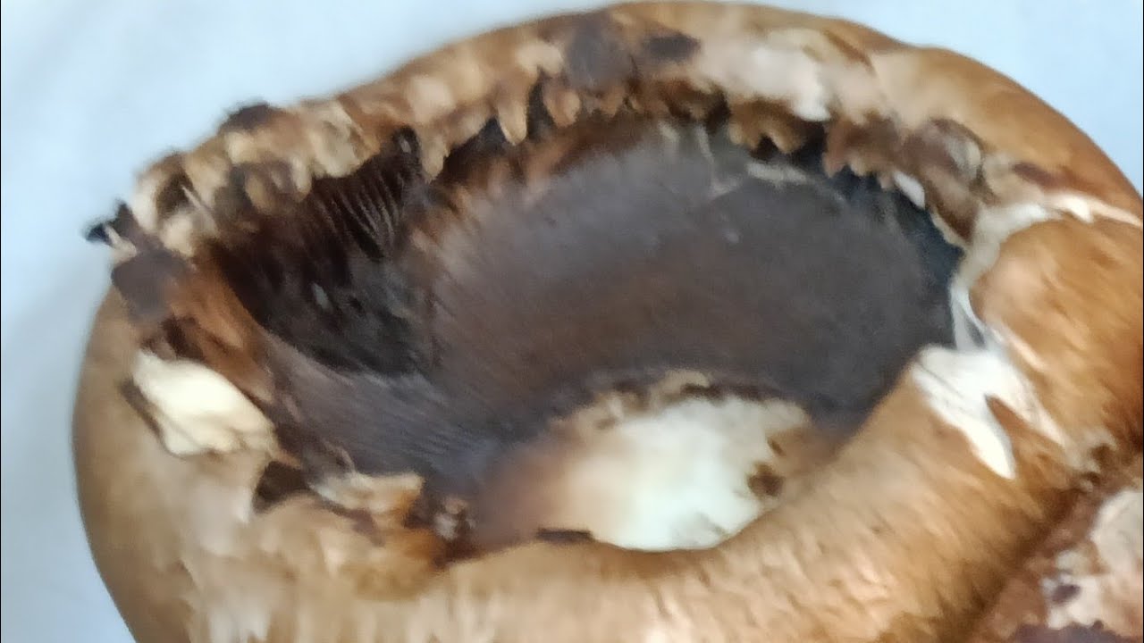 Kuwait Tamil live 😂 Akashe princess  is live