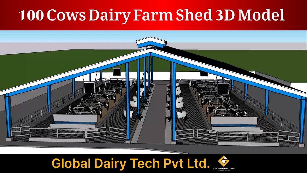 100 Cows 3D Shed Model By Global Dairy Tech (Pvt.) Limited.