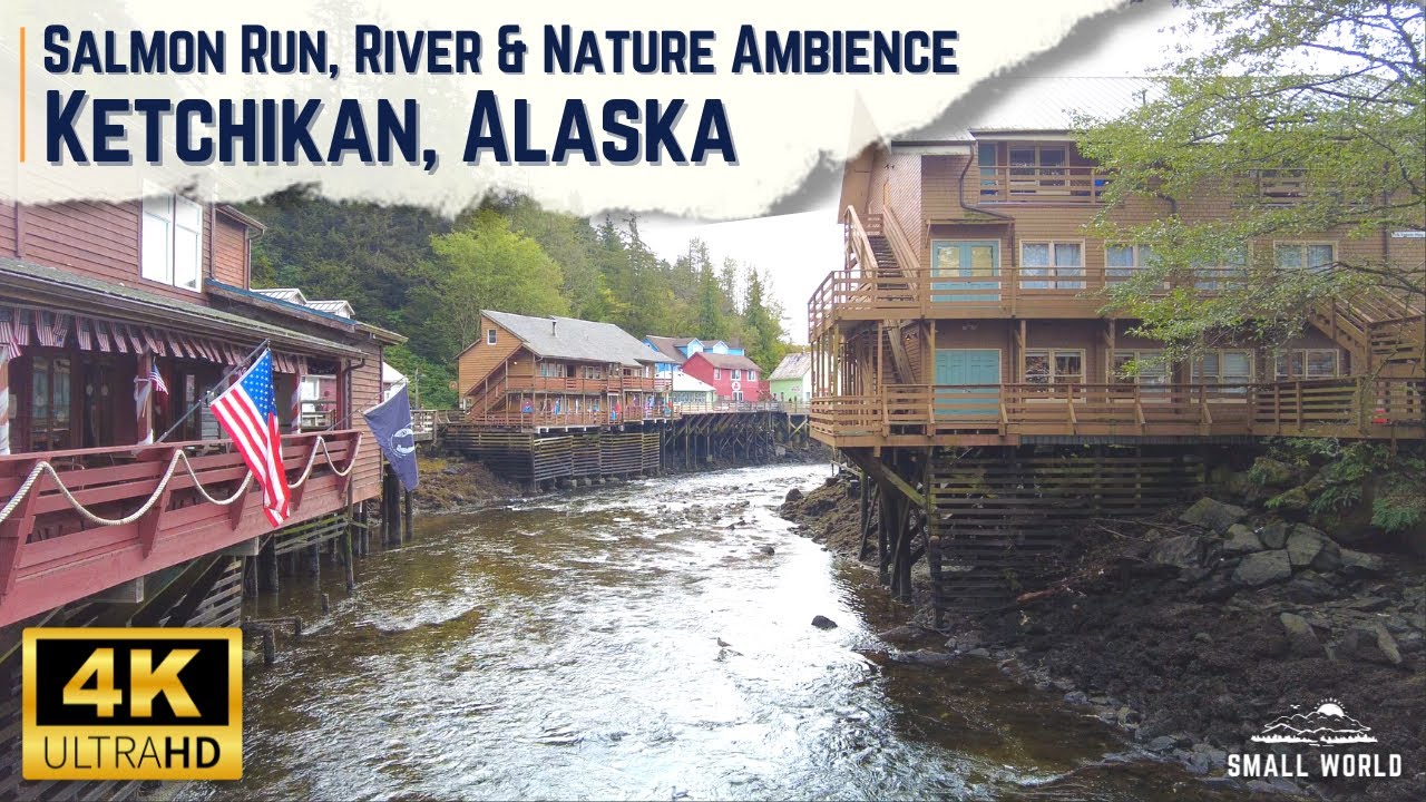Ketchikan, Alaska | Salmon Run - 4K River & Nature Ambience (No Music)