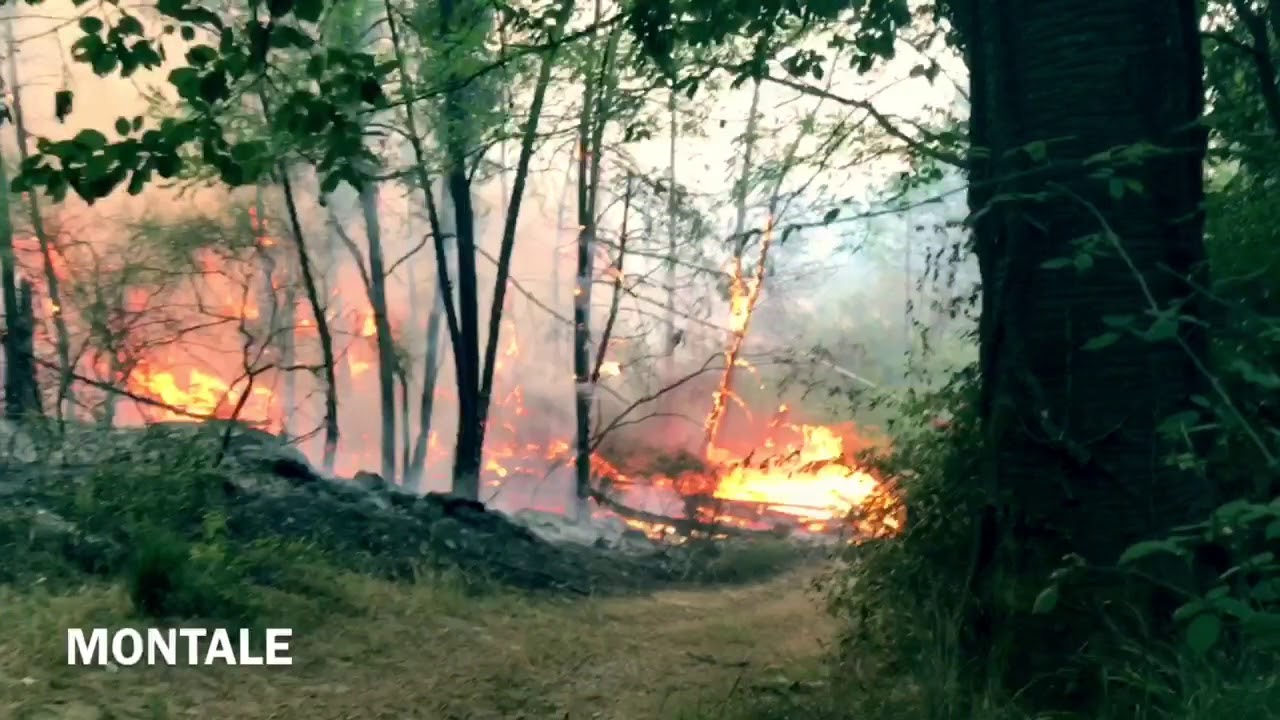Antincendi Boschivi CSN - Prato 6 Wildfire Wildlandfirefighters🇮🇹 Volontari Regione Toscana