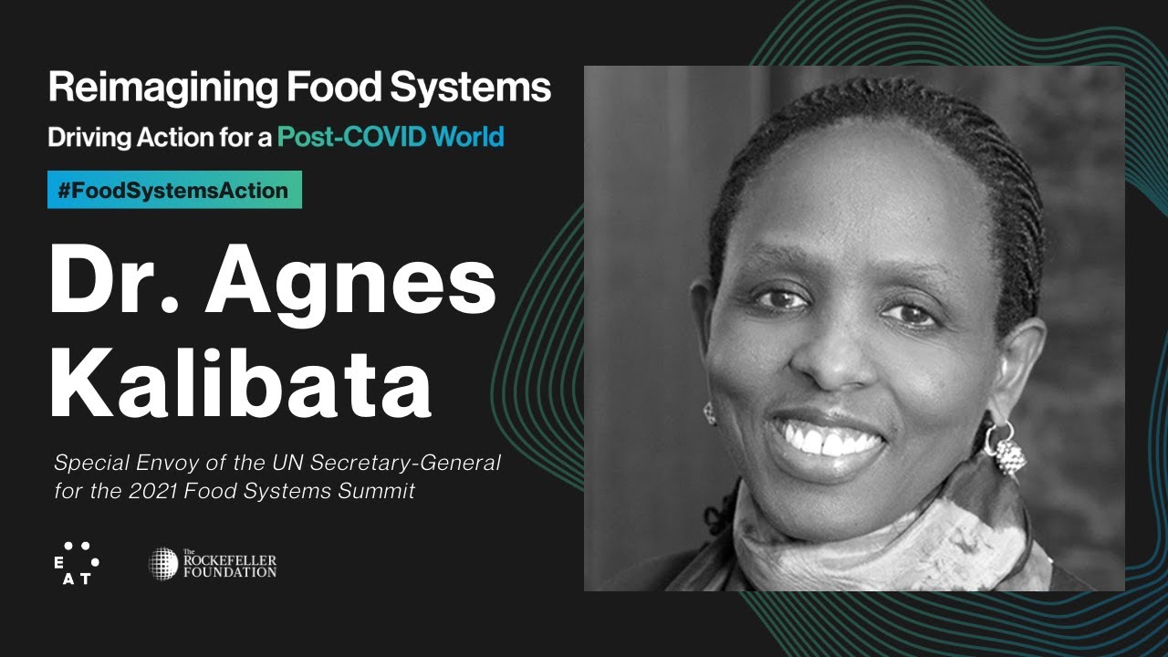 Looking Ahead: UN Food Systems Summit 2021