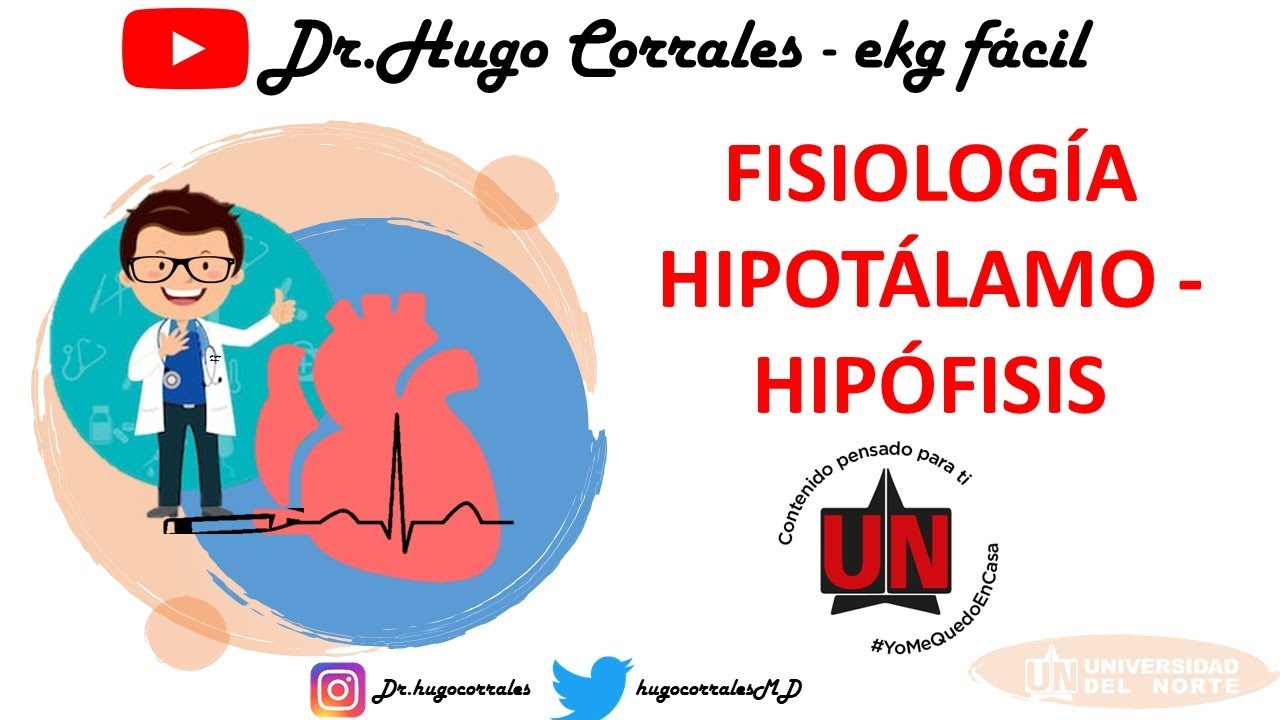 Fisiología del eje HIPOTÁLAMO-HIPÓFISIS