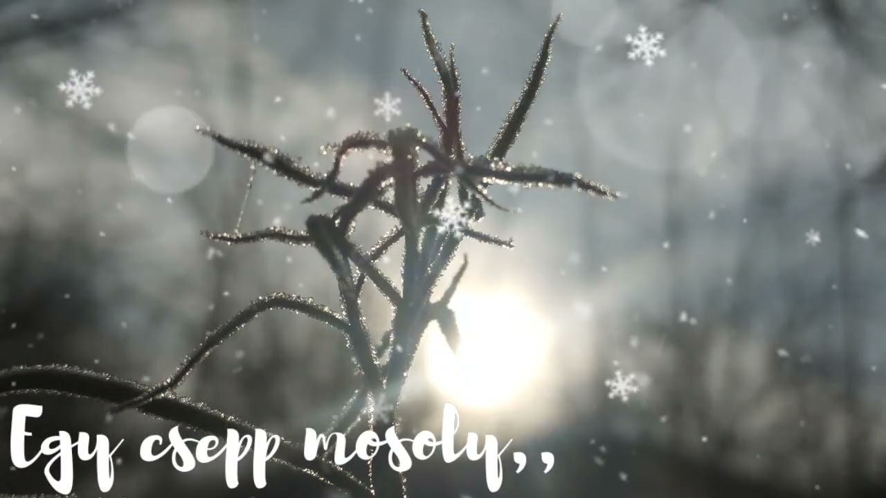 Egy csepp mosoly ,,                     (Saját dalszöveg+ AI zene ) #aizene  #music 