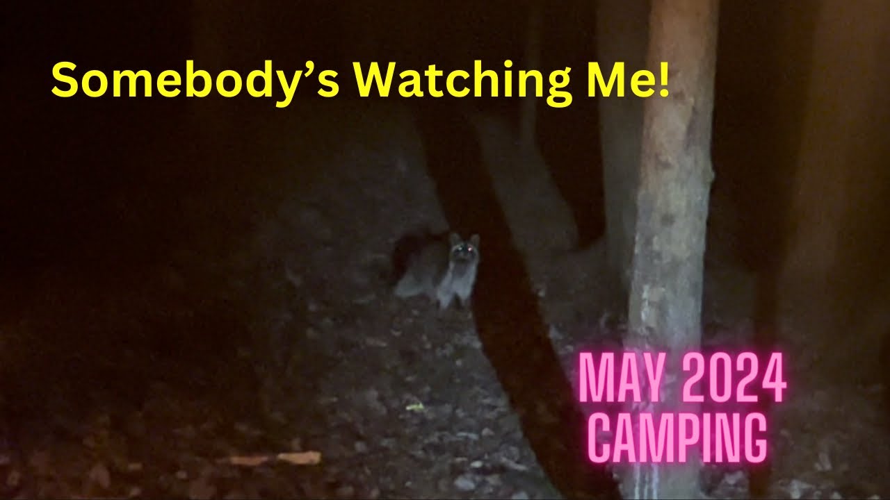 Raccoons And June Bugs- May 2024 Camping Trip