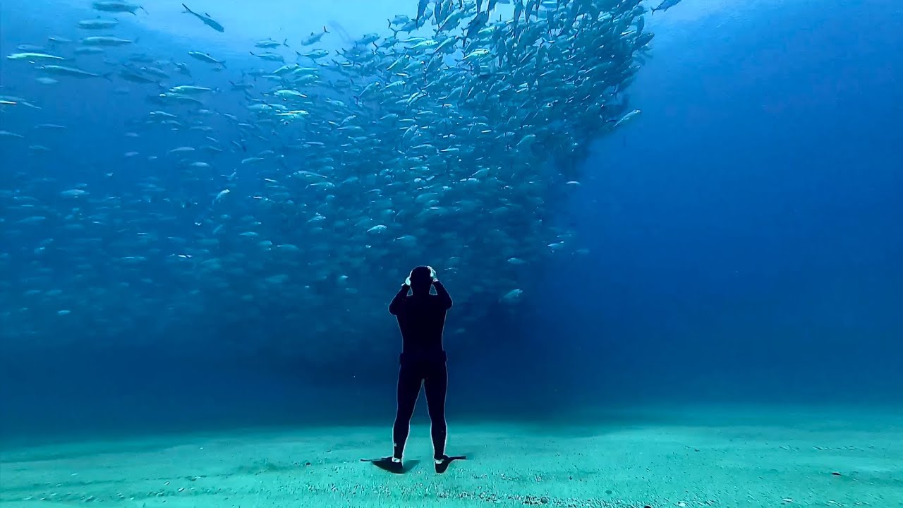 Freediving  Mexico