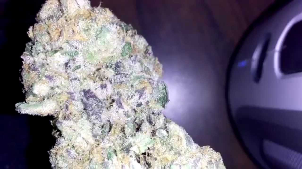 GDP, Blackberry Kush, Original GSC - HD Weed Porn