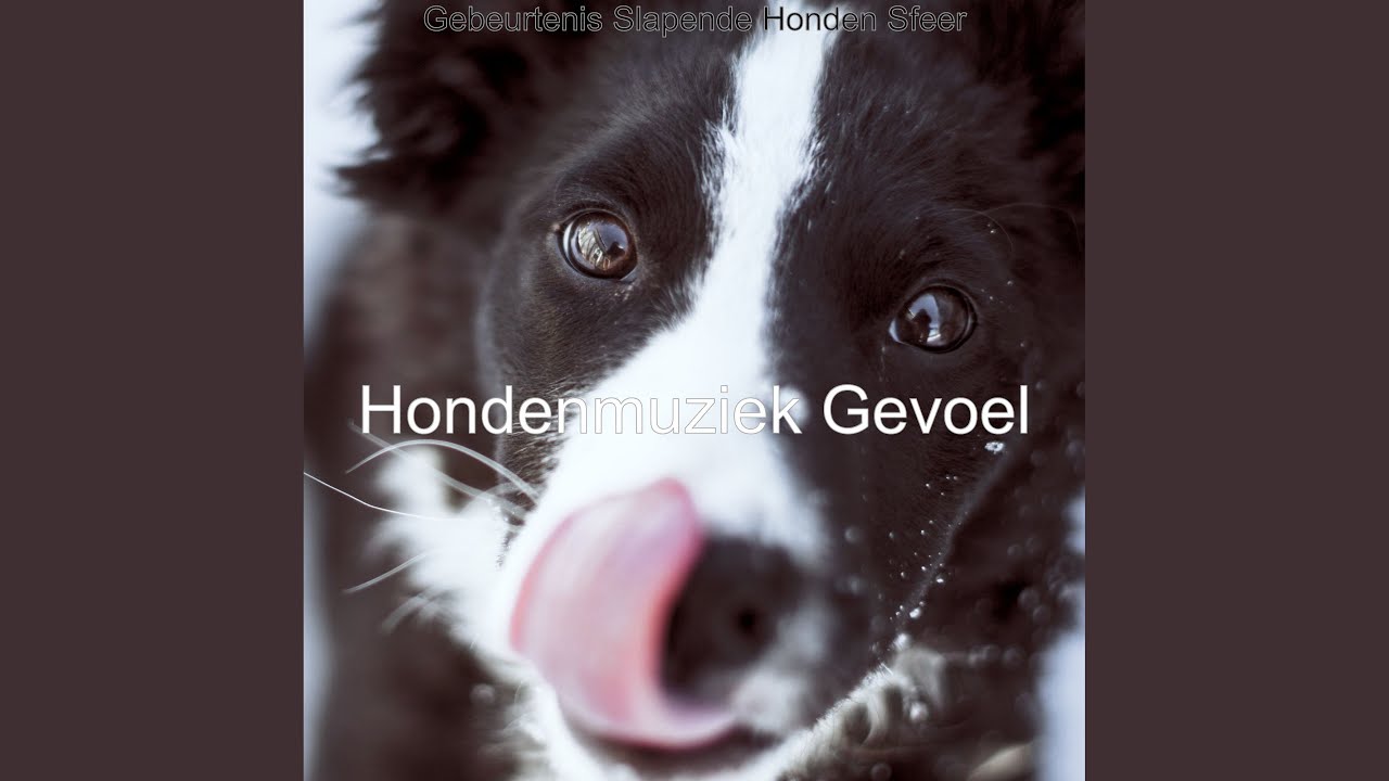 Gebeurtenis (Honden)