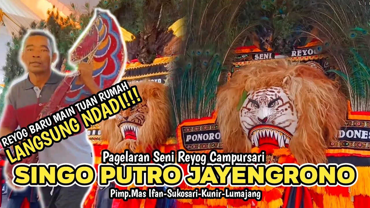 VIRALL!!!REYOG BARU MULAI TUAN RUMAH NDADI!!!REYOG CAMPURSARI SINGO PUTRO JAYENGRONO LIVE KABUARAN!!