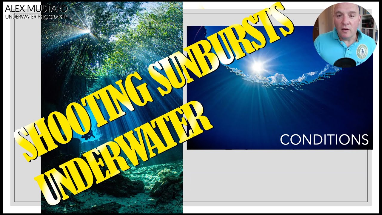 Alex Mustard on Shooting Sunbursts Underwater. Webinar + Q&A from Facebook Live