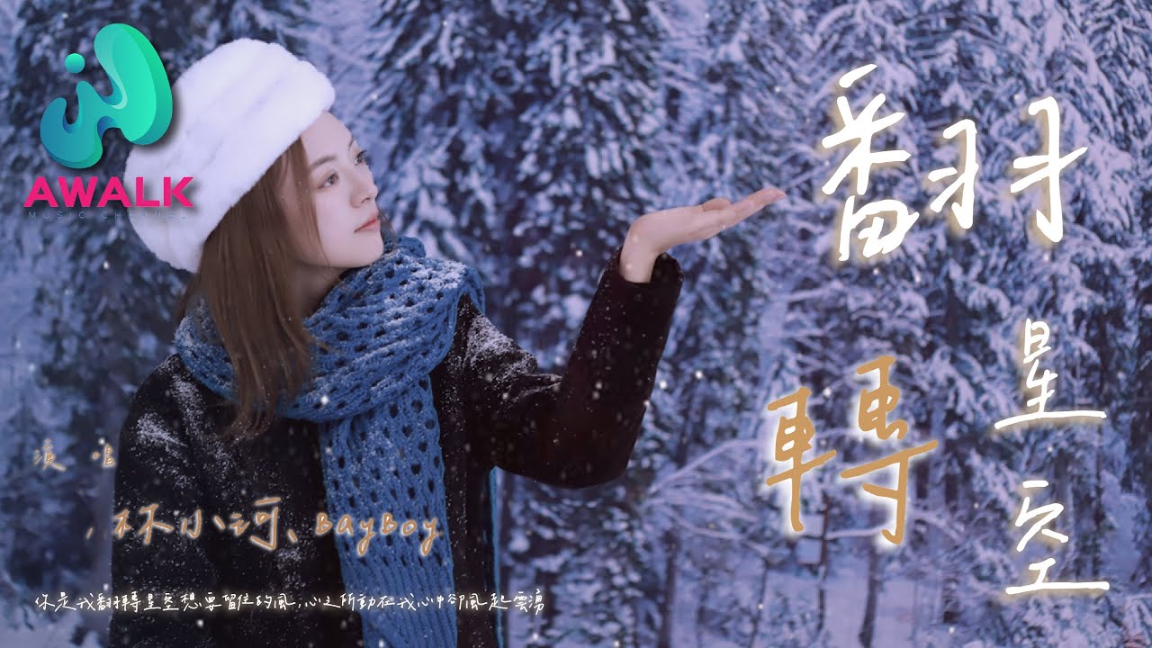 林小珂 / BayBoy - 翻转星空『你是我翻转星空想要留住的风，心之所动在我心中却风起云涌。』【动态歌词 | Pinyin Lyrics】【四月新歌】【AWALK MUSIC】
