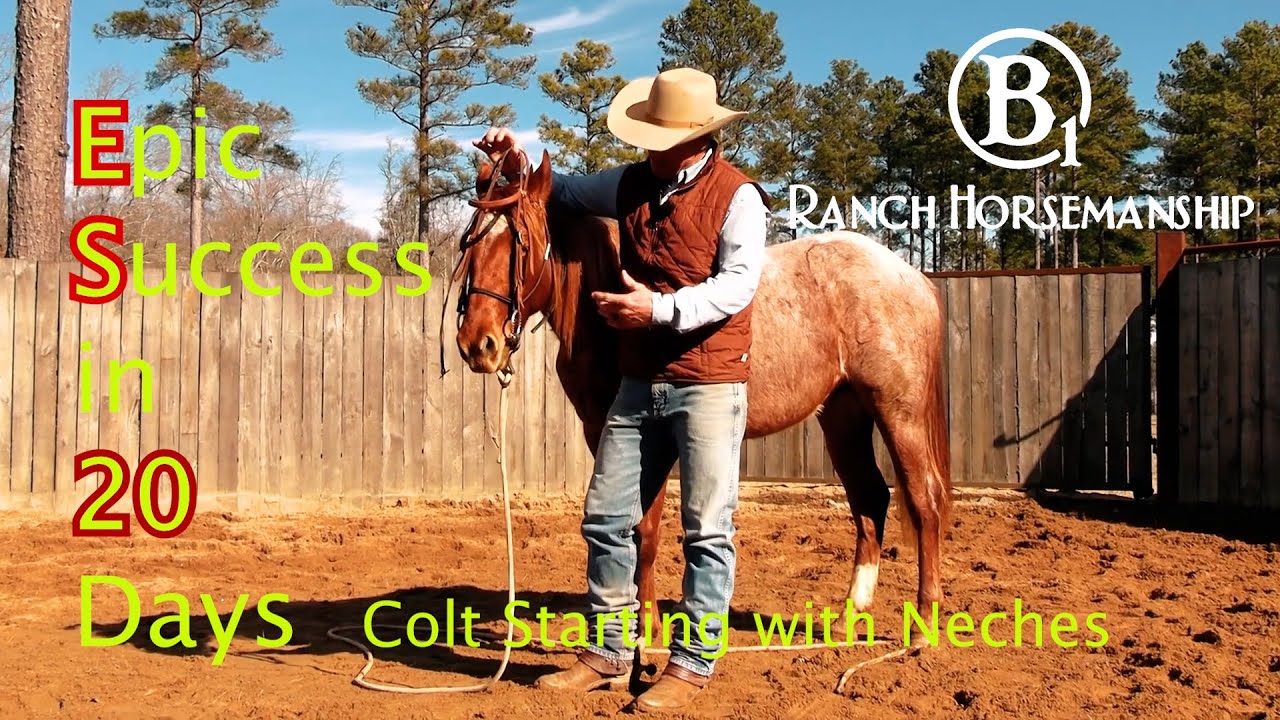 Epic Success In 20 Days Colt Starting with Neches Day 1 Preview