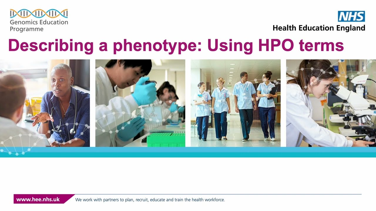 Describing a phenotype: Using HPO terms