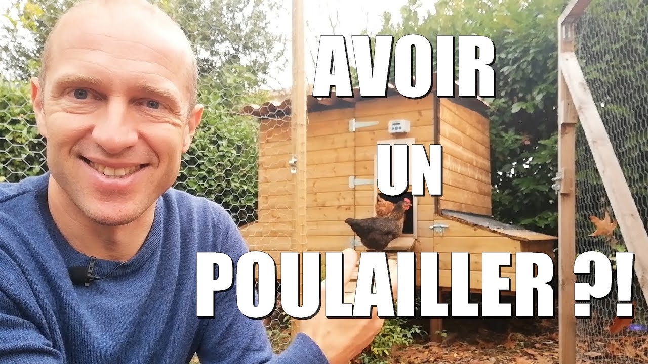 Avoir un poulailler ?!