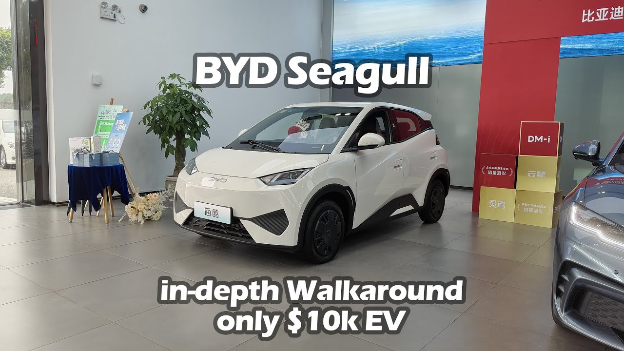 2025 BYD Seagull Smart Edition 305km Vitality Model EV in-depth Walkaround - Big Bear Test Car