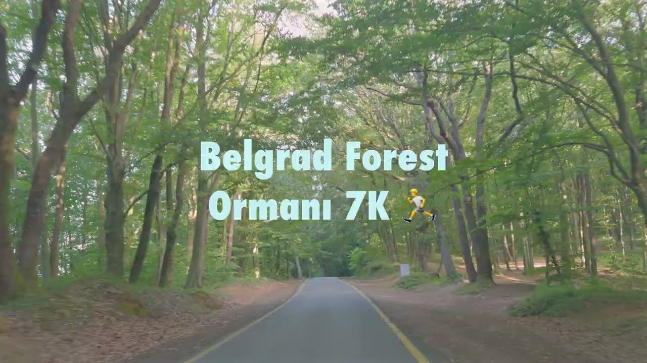Belgrad Forest Run - Orman Koşusu - 8K Ultra HD