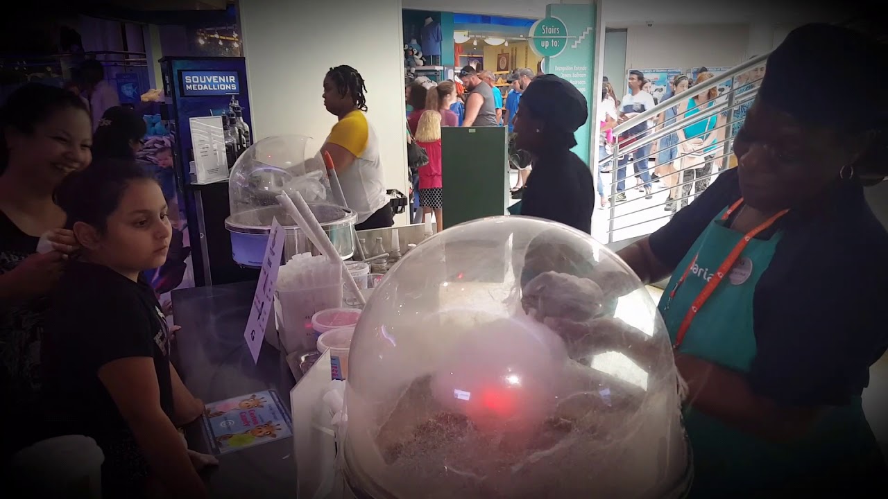 Fresh All Natural Cotton Candy @ Georgia Aquarium