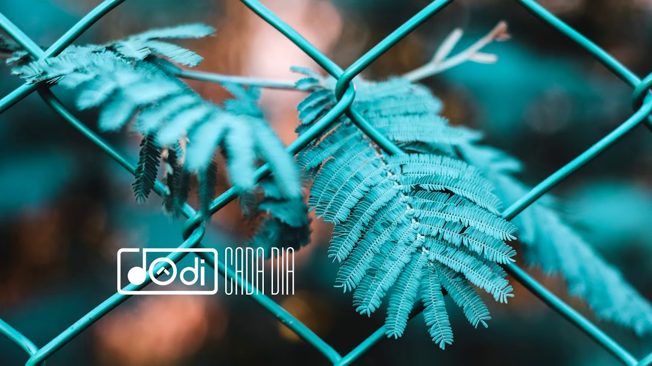 Dôdi - Cada dia - feat. Allan Alencar