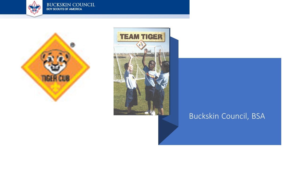 Tiger   Team Tiger   Buckskin Council