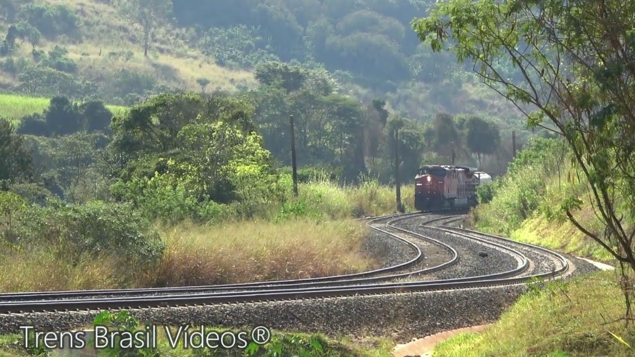 🇧🇷 TREM da BRADO Logística SEGUINDO PARA O PORTO DE SANTOS, SP  |  Limeira - SP.