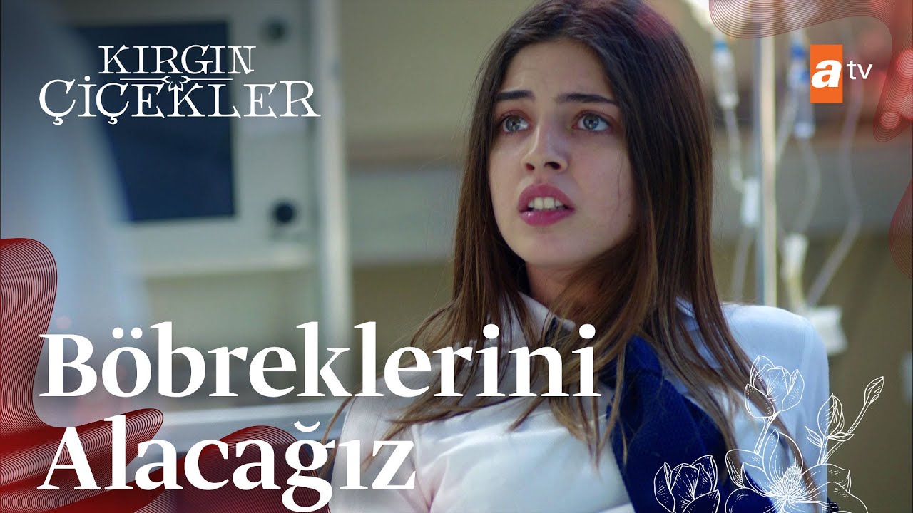 Kızlar, organ mafyasının elinde! - Kırgın Çiçekler 87. Bölüm