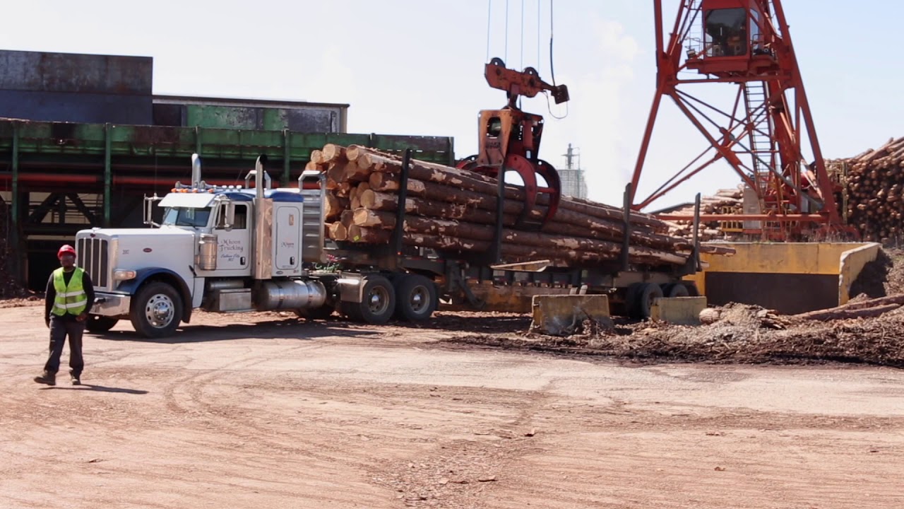 Weyerhaeuser Lumber Mill Bruce, MS (Short Version)