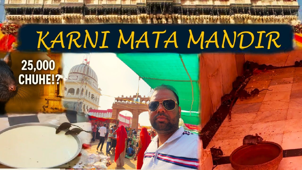 Karni Mata Mandir Deshnok | Rat Temple Bikaner Full Tour | India’s Most Mysterious Temple #vlog