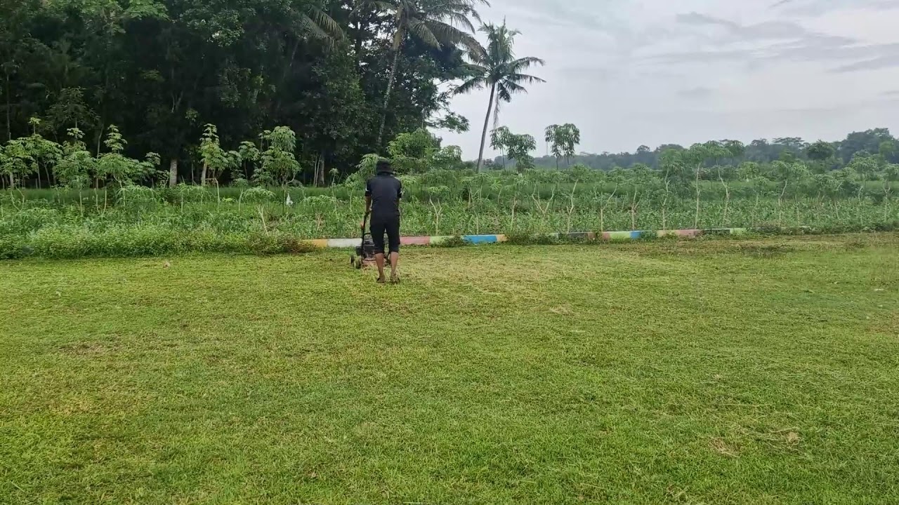 SUPER SMART FARMING: INSTANTLY CUT MASSIVE GRASS FIELDS LIKE A PRO  -Agriculture Farming