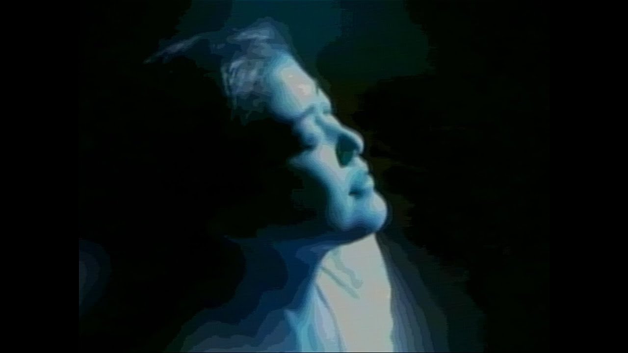 S O A R E R x VideodromeTV