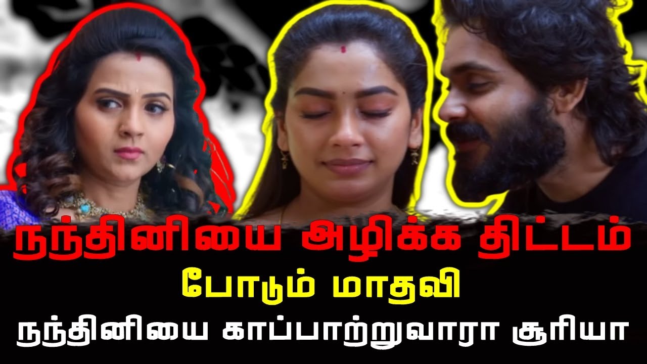 நந்தினியை அழிக்க திட்டம் போடும் மாதவி #tamilserialreview #suntvserialreview #tamilserial