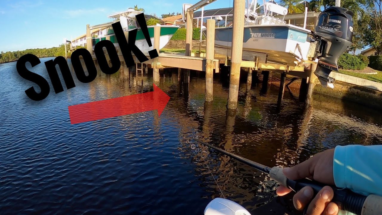 Dock Fishing for Snook! (My First Youtube Video!!!)