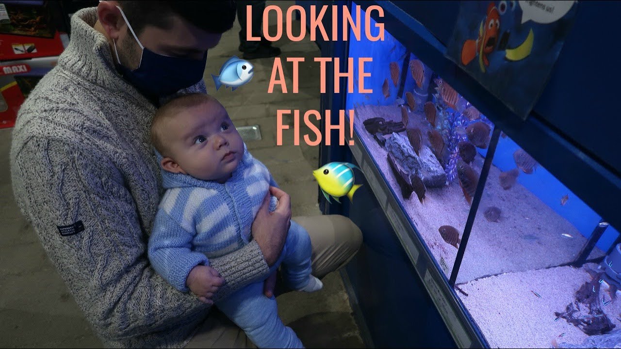 Baby Sees The FISH | Looking At The Fish At Dobbies Garden Centre 🐠