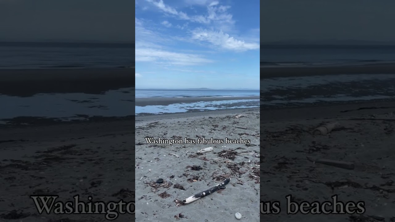 Washington beaches are beautiful! Believe it or not! #washington #wastate #beachlife #beach #beachin
