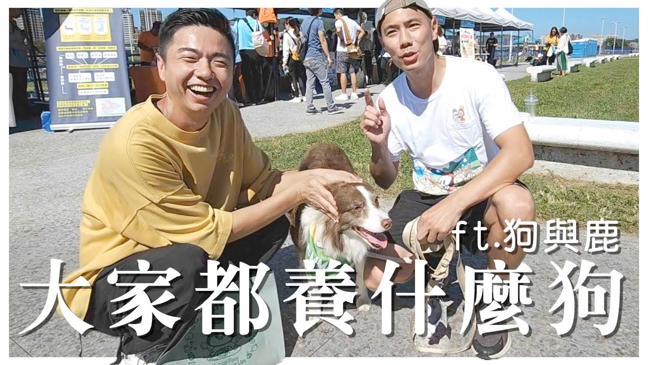 【熊爸估狗】狗與鹿寵物路跑 跟毛小孩一起跑｜鏡週刊