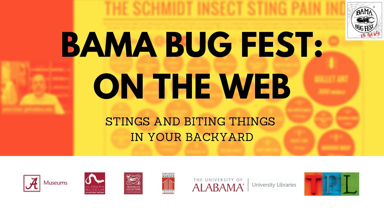 Bama Bug Fest: On the Web - Stings and Biting Things in Your Backyard
